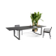 Table de jardin extensible avec plateau en verre 220-340 x 100 x 75 cm