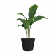 Pot Green Care Sense anthracite Ø 40 x 34 cm