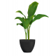 Pot Green Care Impact anthracite Ø 40 x 31 cm