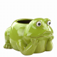 Pot Grenouille verte