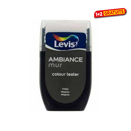 Testeur Peinture mural Ambiance magma 30 ml LEVIS