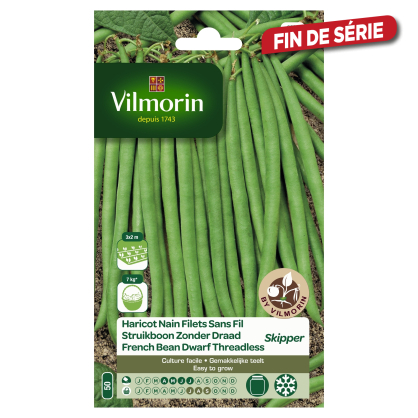 Semences De Haricot Nain Filet Sans Fil Skipper VILMORIN