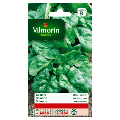 Semences d'épinard Géant d'Hiver 15 g VILMORIN