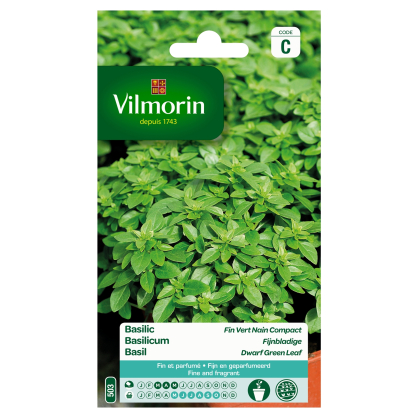 Semences de basilic Fin vert compact VILMORIN