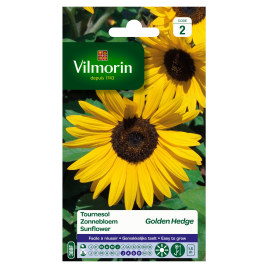 Semences de tournesol Golden Hedge VILMORIN