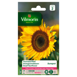 Semences de tournesol Nain Sunspot VILMORIN