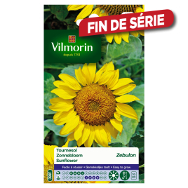 Semences de tournesol Zebulon VILMORIN