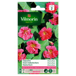 Semences de capucine Cherry rose VILMORIN