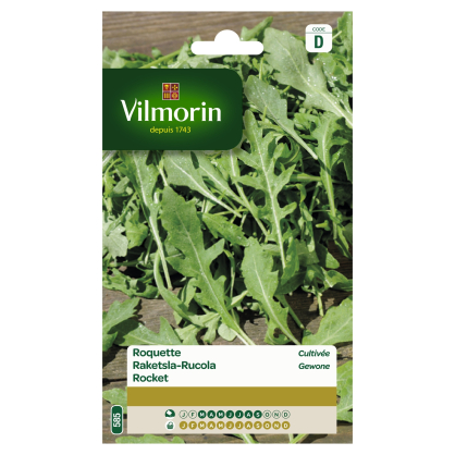 Semences de roquette cultivée 20 g VILMORIN