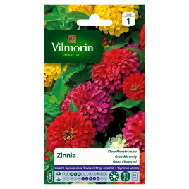 Semences de zinnia Fleur Monstrueuse VILMORIN