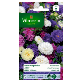 Semences de Reine Marguerite Beauté variée VILMORIN