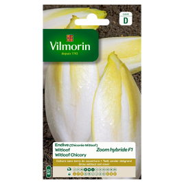 Semences de chicon Zoom hybride F1 VILMORIN