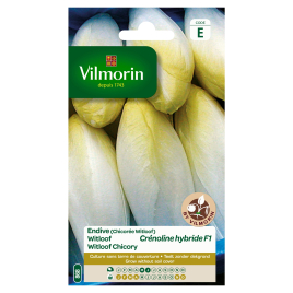 Semences de chicon Crénoline hybride F1 4 g VILMORIN