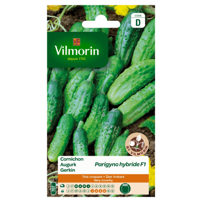 Semences de cornichon Parigyno hybride F1 VILMORIN