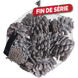 Set de pommes de pin blanches 0,3 kg