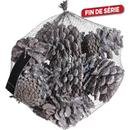 Set de pommes de pin blanches 0,3 kg