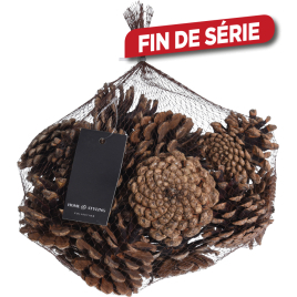 Set de pommes de pin 0,3 kg