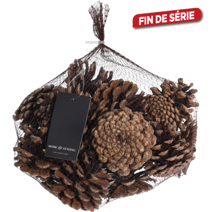 Set de pommes de pin 0,3 kg