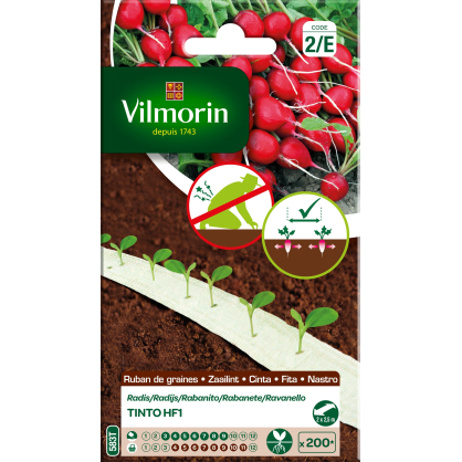 Ruban de radis Tinto HF1 VILMORIN