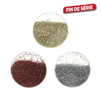 Boîte de paillettes 10 g DECORIS