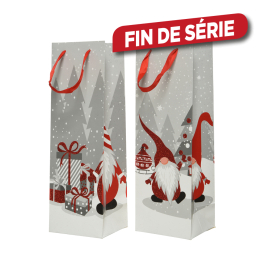 Sac cadeau lutin en papier 10 x 12 x 36 cm DECORIS