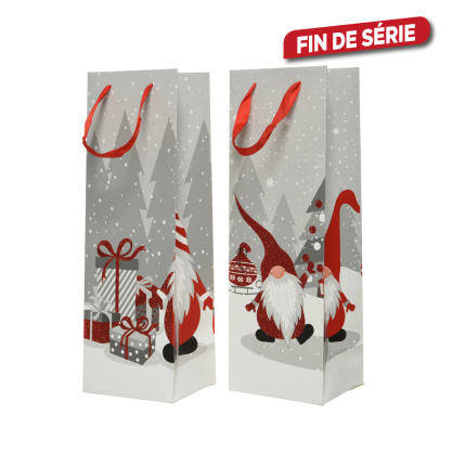 Sac cadeau lutin en papier 10 x 12 x 36 cm DECORIS