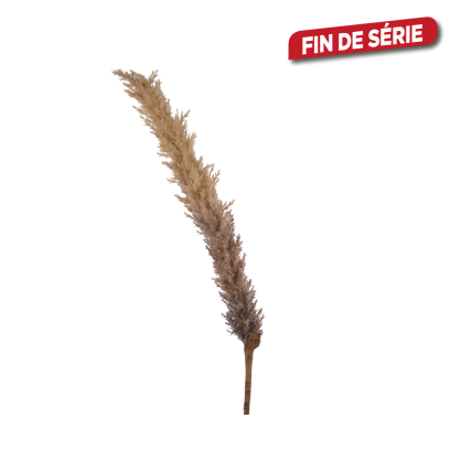 Herbe de la pampa Ø 4 x 110 cm brune