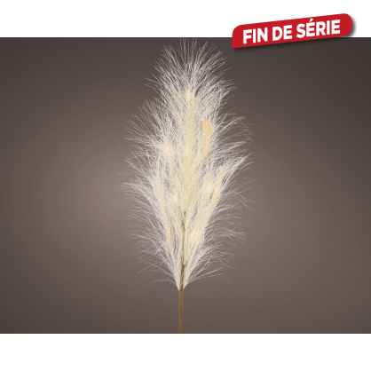 Herbe de la Pampa blanc cassé avec LED blanc chaud Ø 5 x 70 cm LUMINEO