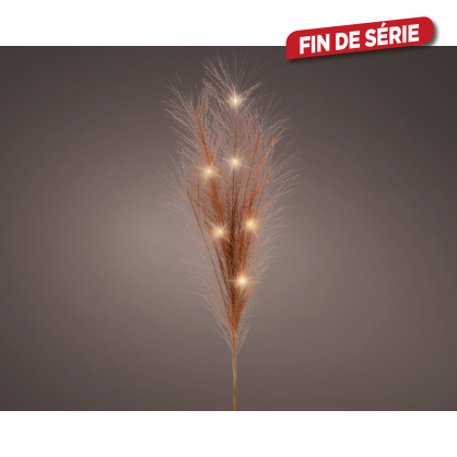 Herbe de la Pampa cannelle avec LED blanc chaud Ø 5 x 70 cm LUMINEO