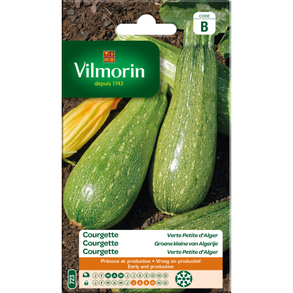 Semences de courgette verte Petite Alger VILMORIN