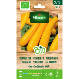 Semences de courgette Ola Gabriella F1 Bio VILMORIN