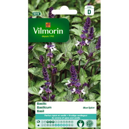 Semences de basilic Blue Spice VILMORIN