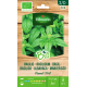 Semences de basilic Grand Vert Bio VILMORIN