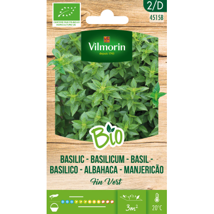 Semences de basilic Fin Vert Bio