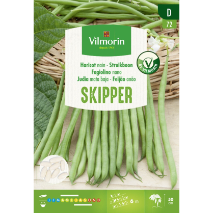 Semences de haricot nain Skipper 20 g VILMORIN