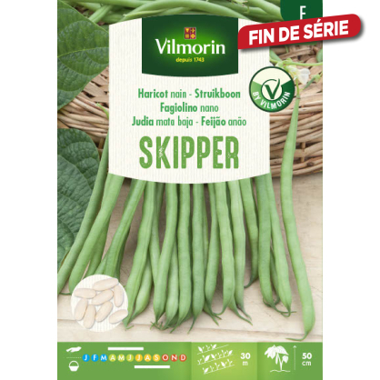 Semences de haricot nain Skipper 100 g VILMORIN