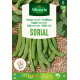 Semences de haricot nain Sorial 100 g VILMORIN