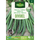 Semences de haricot nain Divinel 100 g VILMORIN