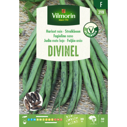 Semences de haricot nain Divinel 100 g VILMORIN