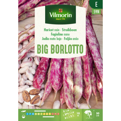 Semences de haricot Big Borlotto 150 g VILMORIN