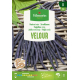 Semences de haricot nain Velour 25 g VILMORIN