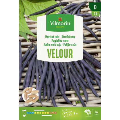 Semences de haricot nain Velour 25 g VILMORIN