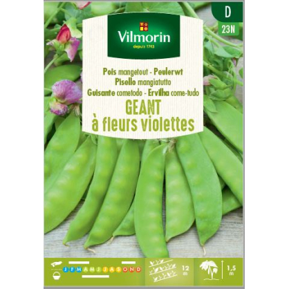 Semences de pois Géant à fleurs Violettes 125 g VILMORIN