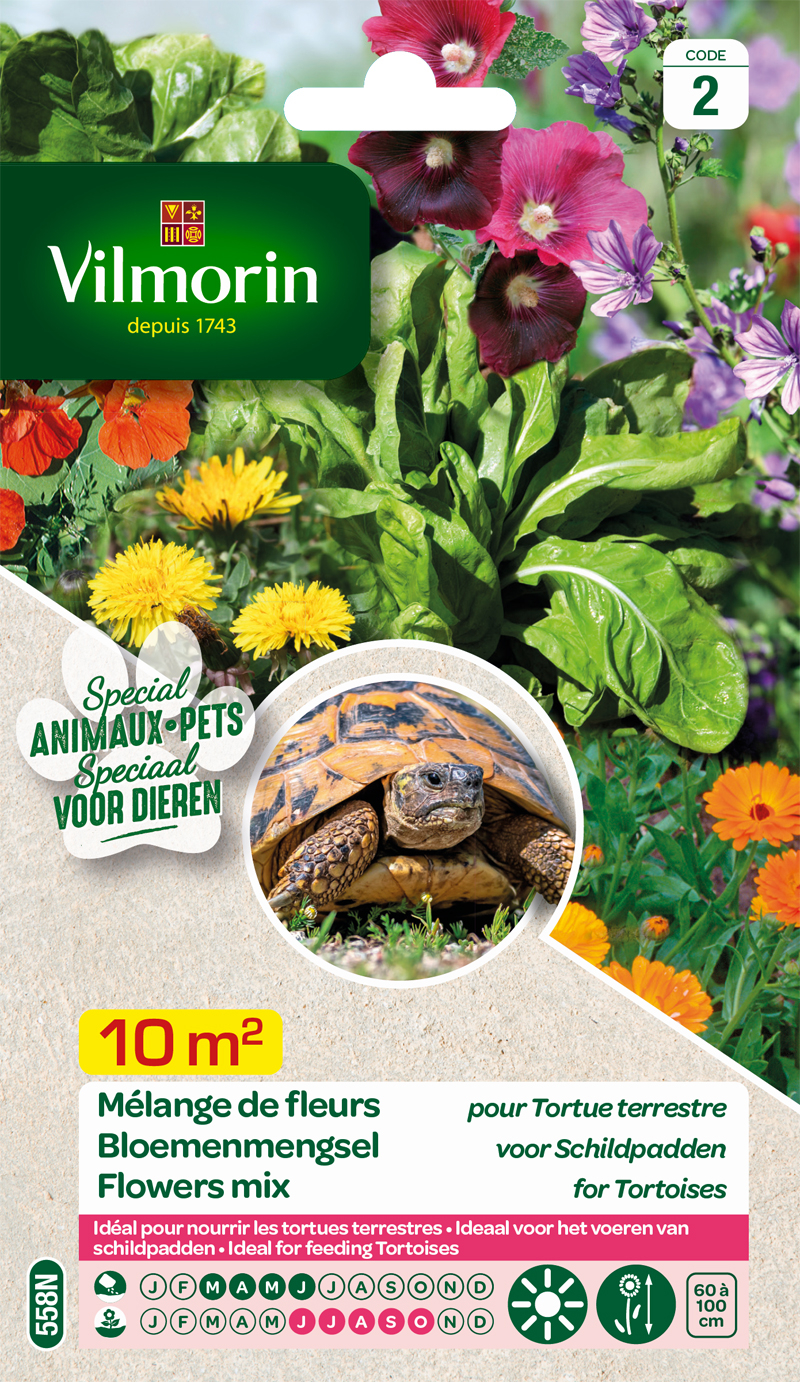 Le village artisanal - Tortue verte pot à fleurs ( h 13 cm )