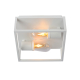 Plafonnier pour salle de bain Carlyn blanc E14 2 × 6 W LUCIDE