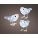 Oiseau coloré en acrylique LED blanc froid 6 cm 3 pièces LUMINEO