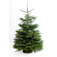 Sapin de Noël naturel coupé Nordmann 150 - 175 cm