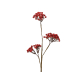 Branche avec baies rouges en mousse 50 cm