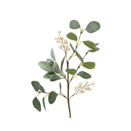 Branche en eucalyptus avec baies blanches 50 cm