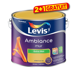 Peinture pour murs Ambiance sweet embrace extra mat 2,5 L LEVIS